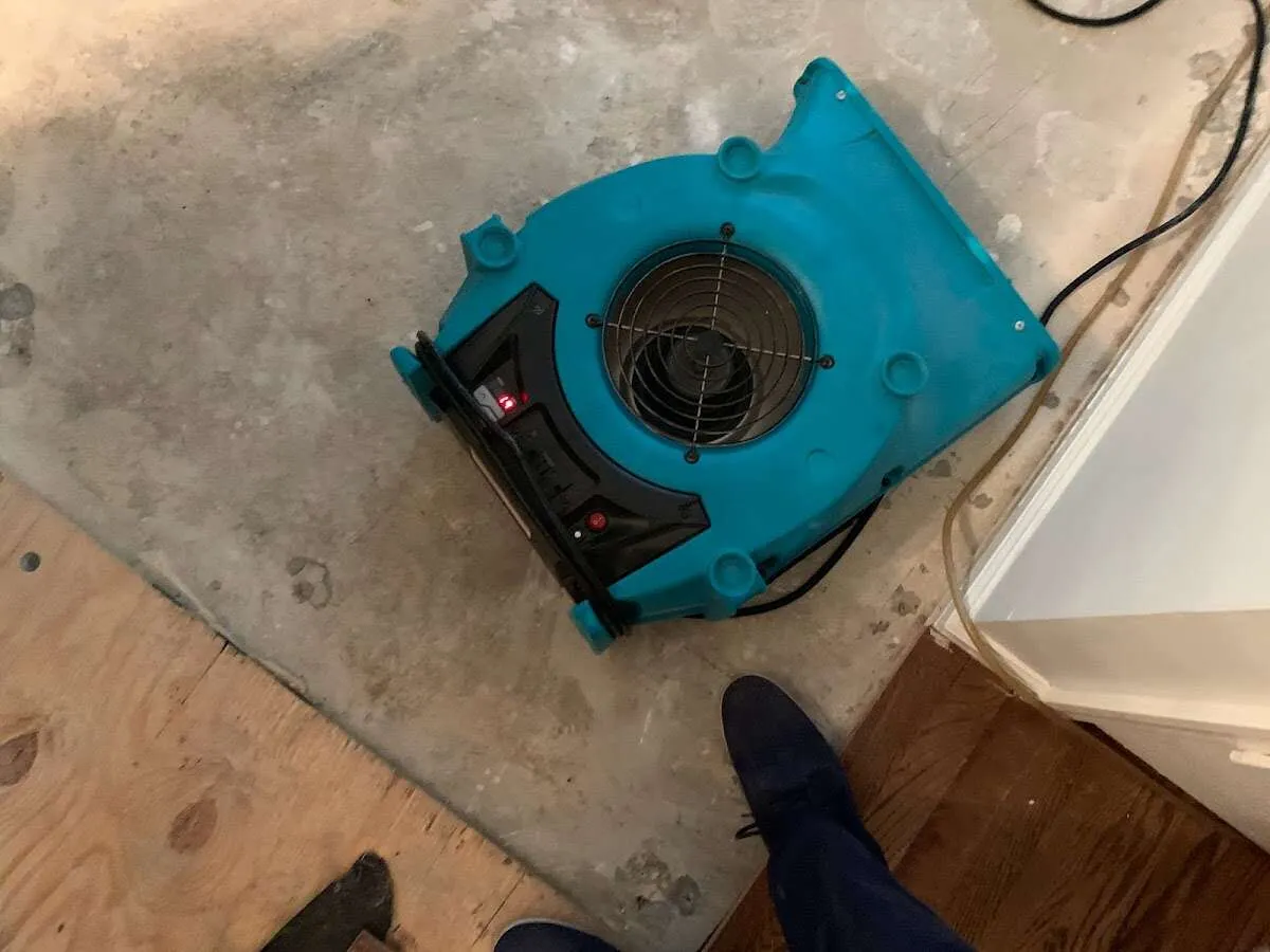 Air mover drying subfloor during Leak Detection & Repair in Mamaroneck